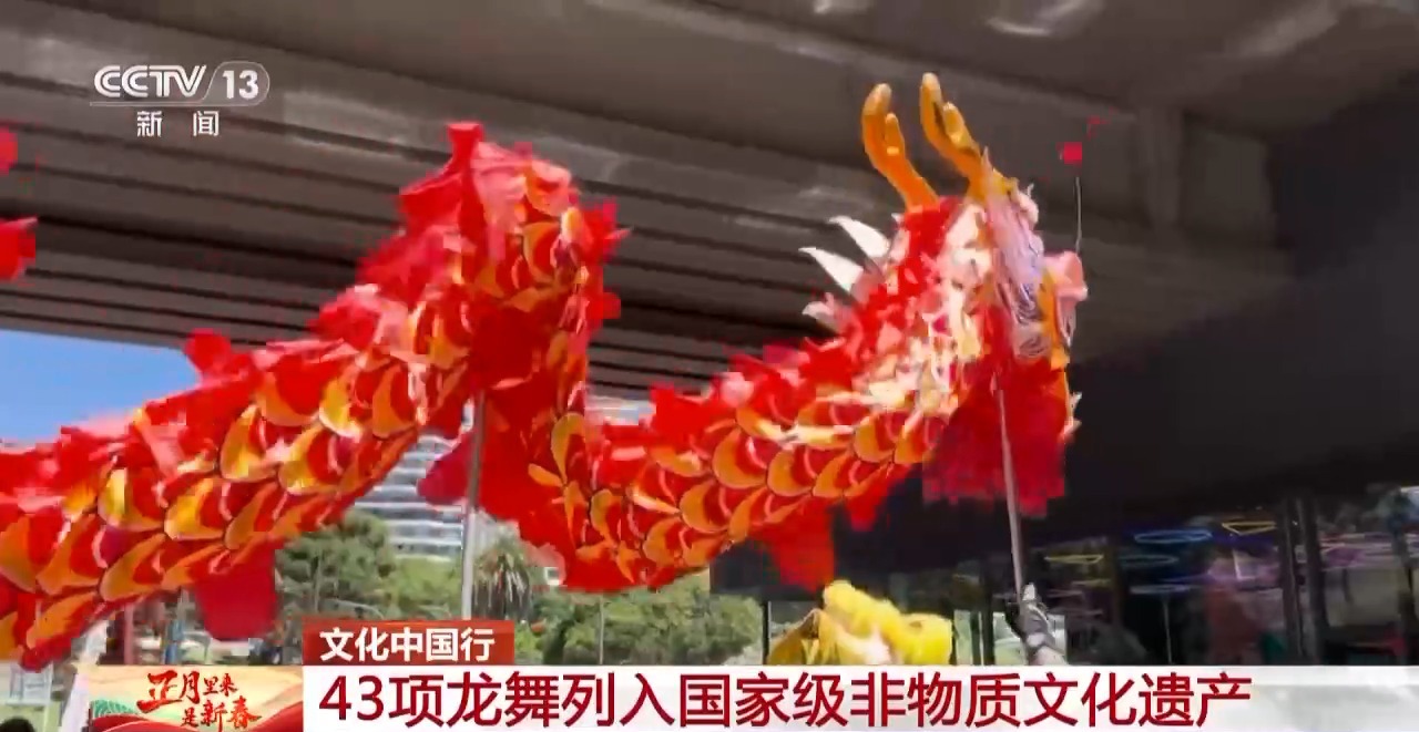 龙、百叶龙……来看不拘一格的龙舞之美冰球突破游戏文化中国行丨火龙、板凳(图3)