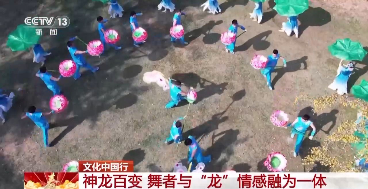 龙、百叶龙……来看不拘一格的龙舞之美冰球突破游戏文化中国行丨火龙、板凳(图19)
