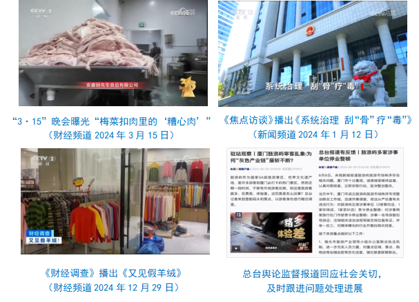 台社会责任报告（2024年度）冰球突破豪华版中央广播电视总